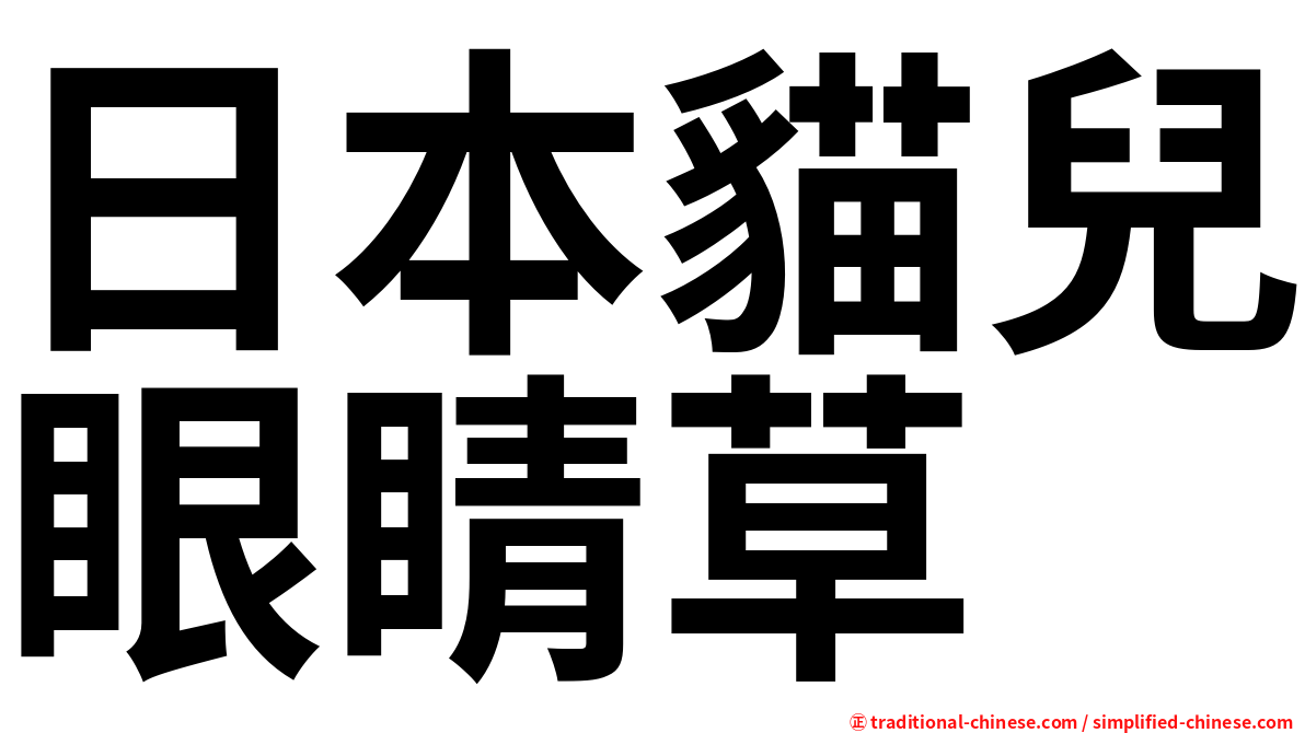 日本貓兒眼睛草