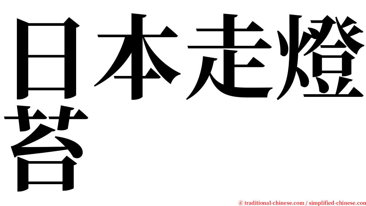 日本走燈苔 serif font