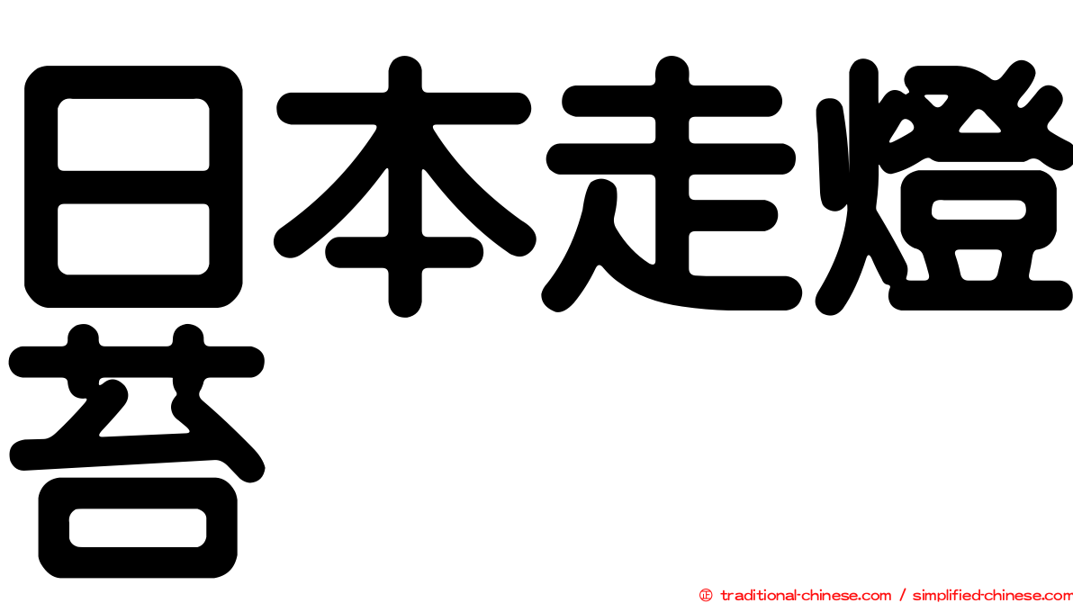 日本走燈苔