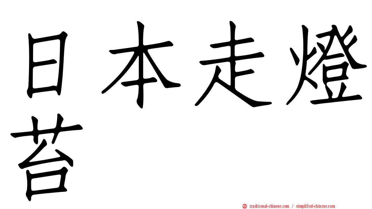 日本走燈苔