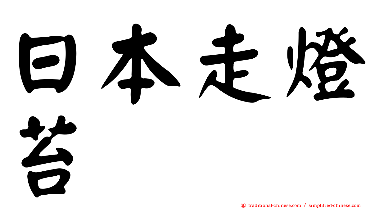 日本走燈苔
