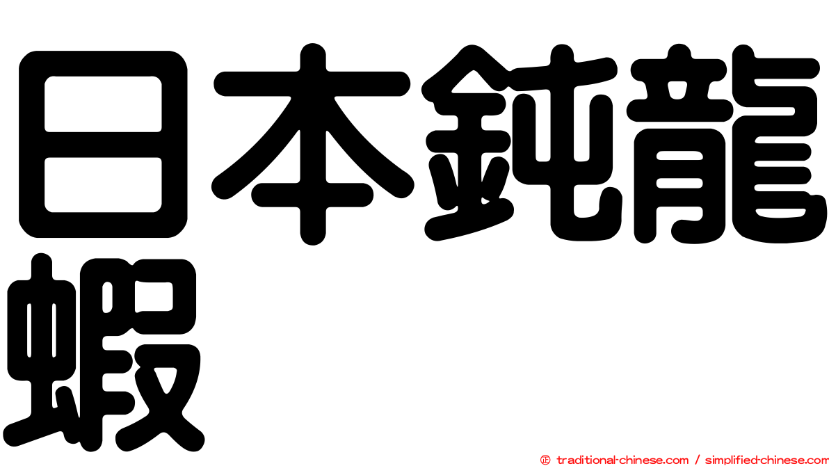 日本鈍龍蝦