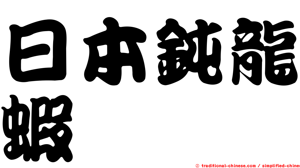 日本鈍龍蝦