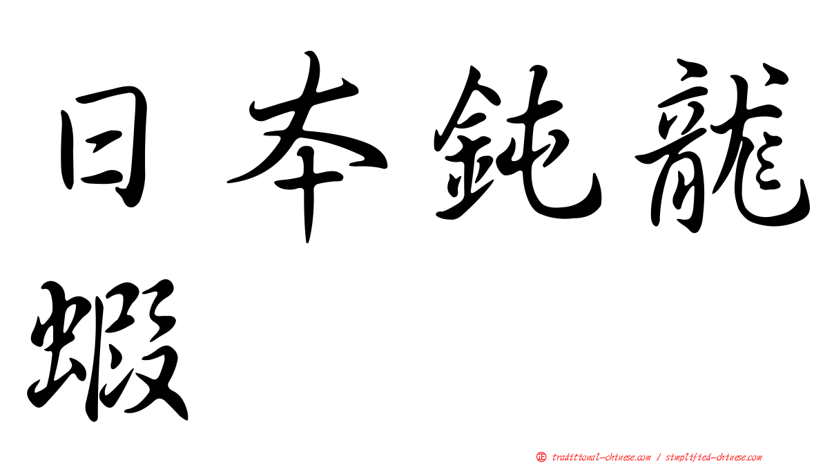 日本鈍龍蝦