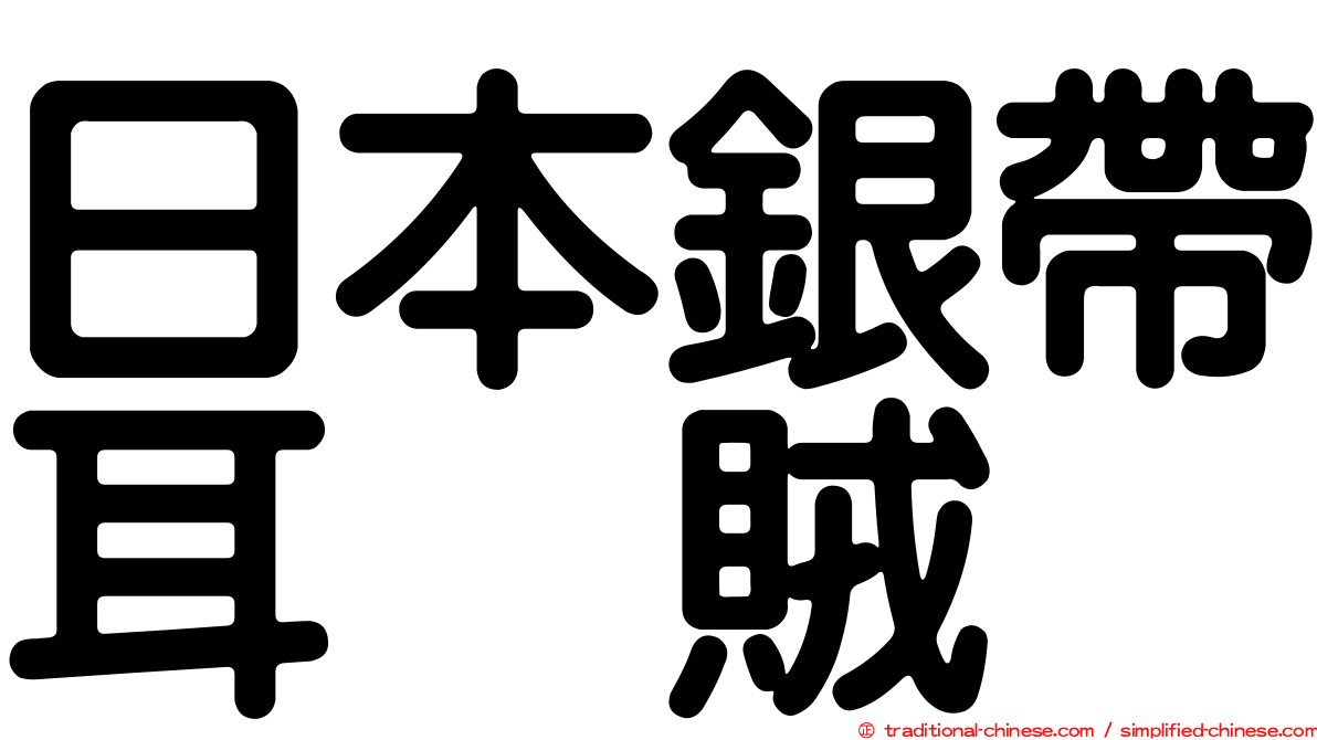 日本銀帶耳烏賊