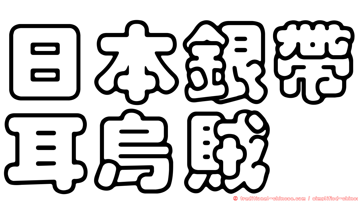 日本銀帶耳烏賊