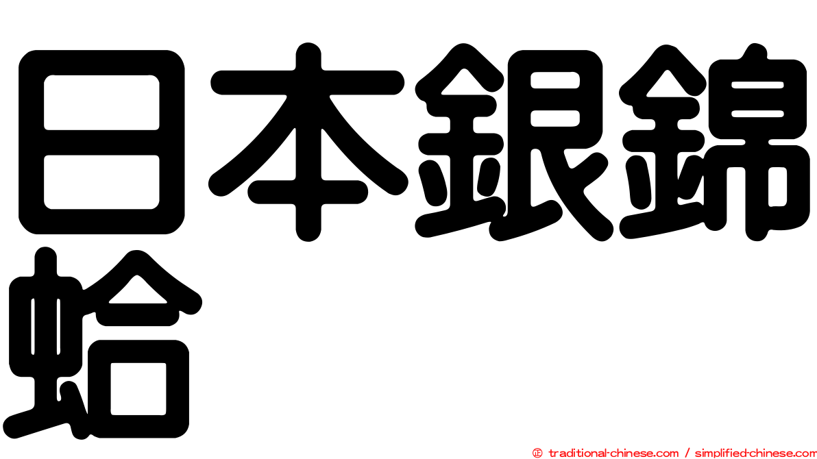 日本銀錦蛤