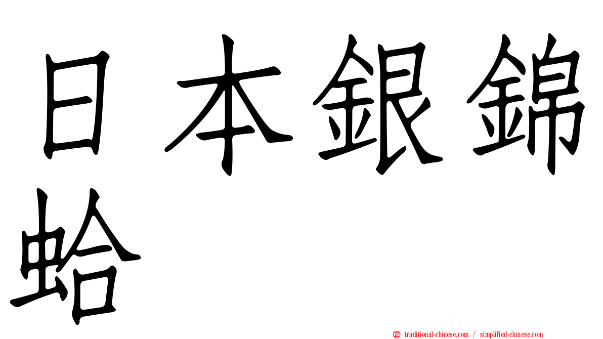 日本銀錦蛤