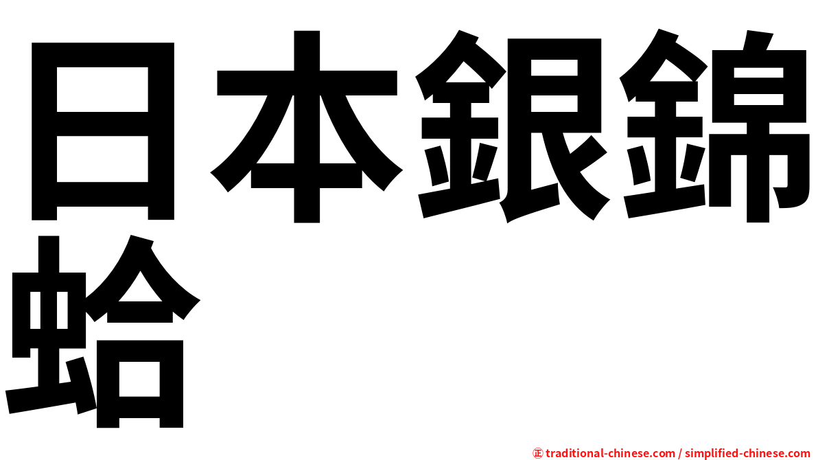 日本銀錦蛤