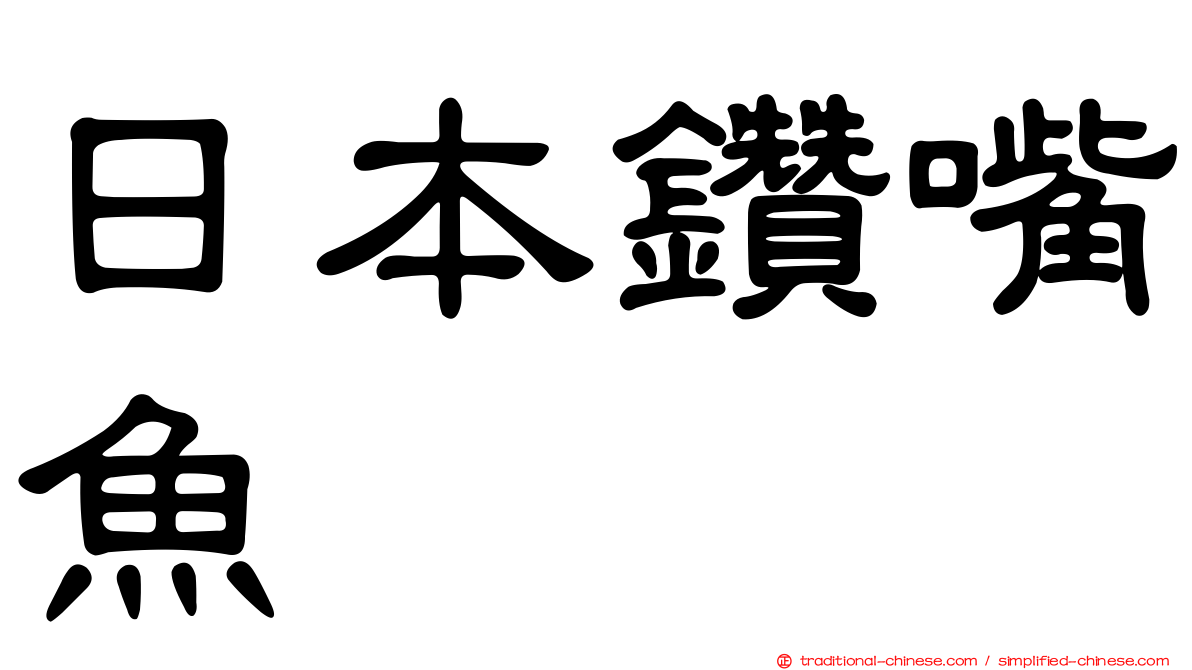 日本鑽嘴魚