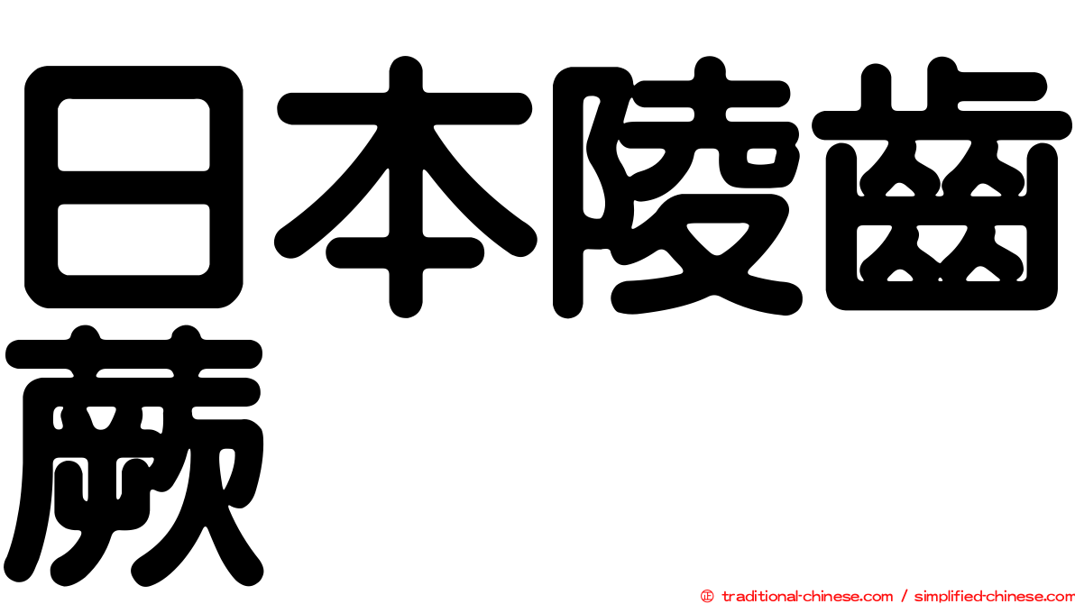 日本陵齒蕨