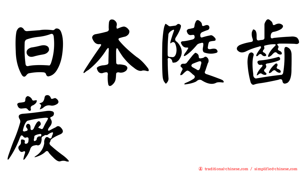日本陵齒蕨