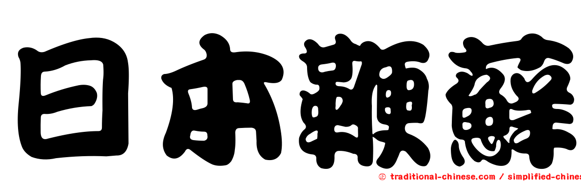 日本鞭蘚
