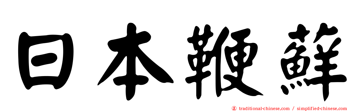 日本鞭蘚