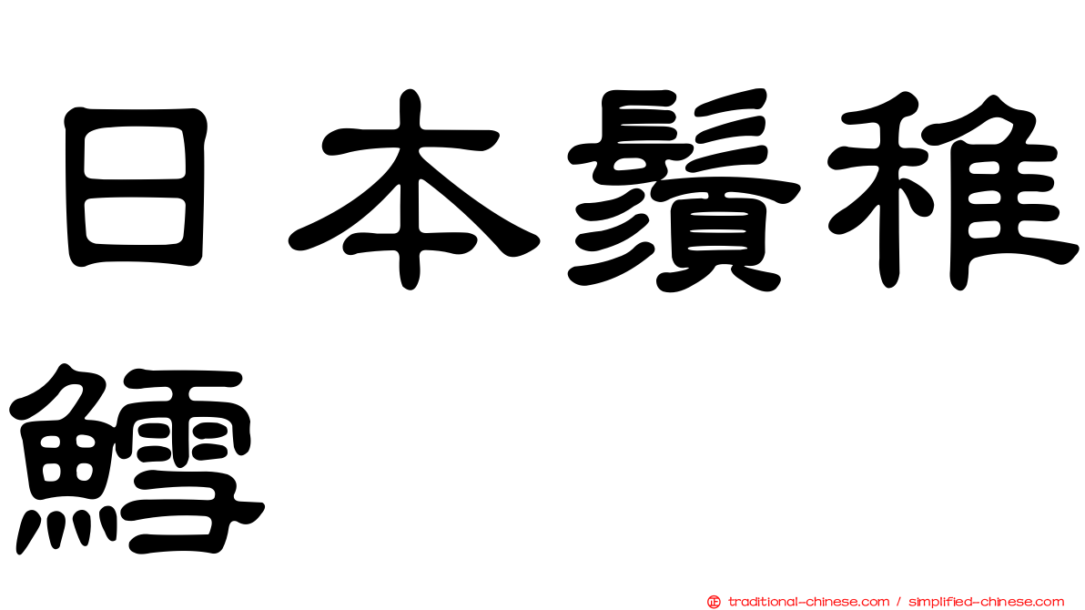 日本鬚稚鱈