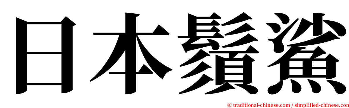 日本鬚鯊 serif font