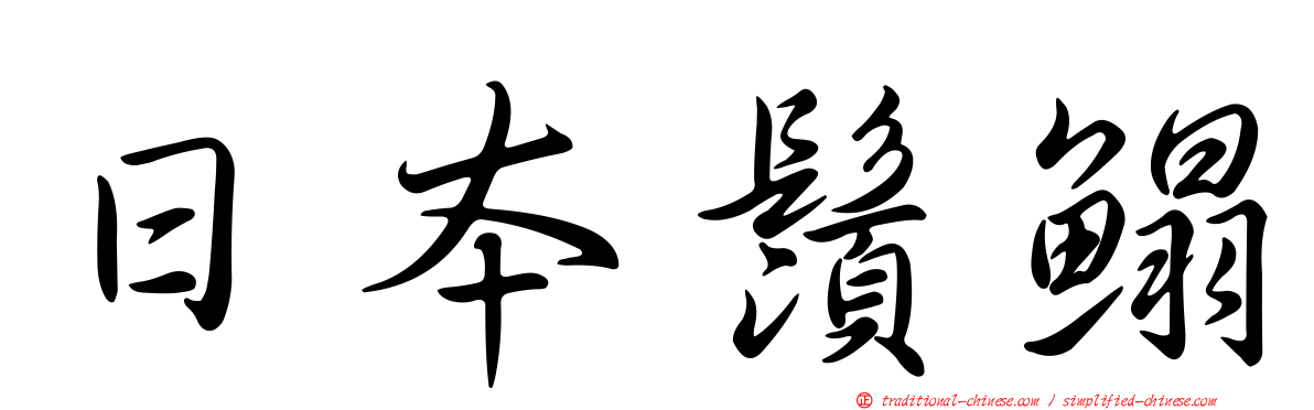 日本鬚鰨