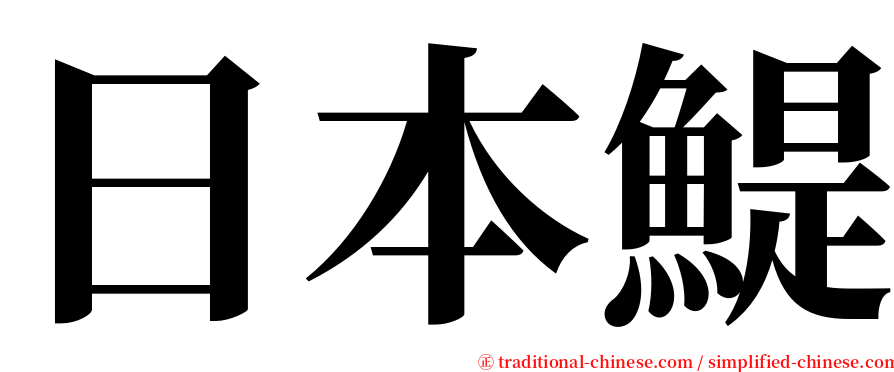 日本鯷 serif font