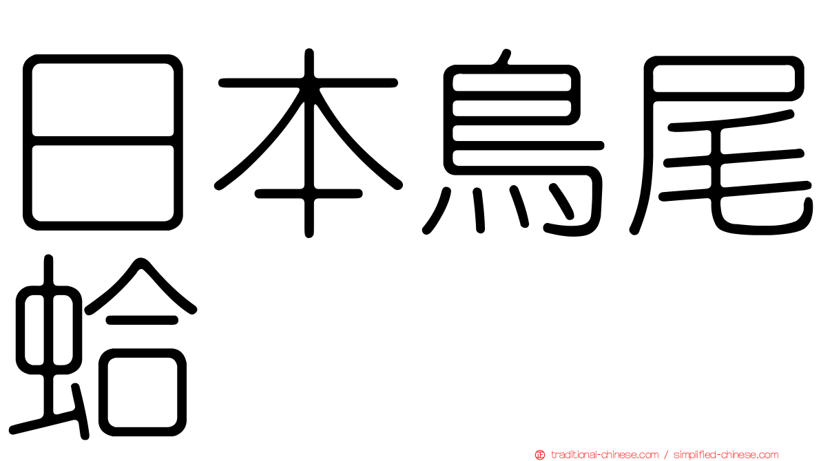 日本鳥尾蛤