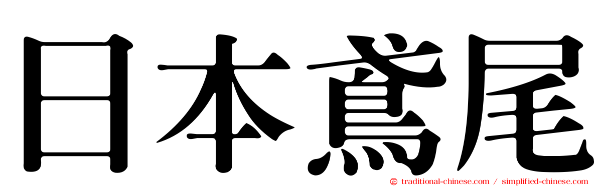 日本鳶尾
