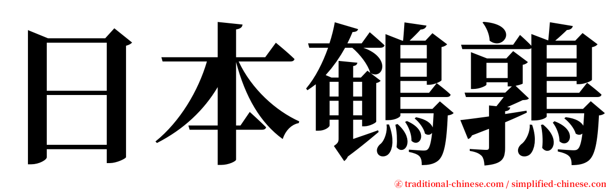 日本鵪鶉 serif font