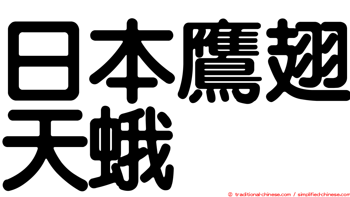 日本鷹翅天蛾