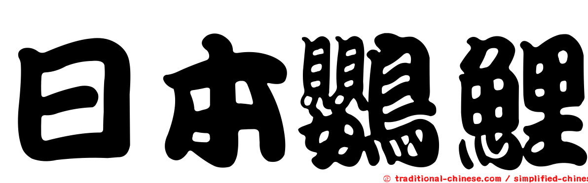 日本鸚鯉