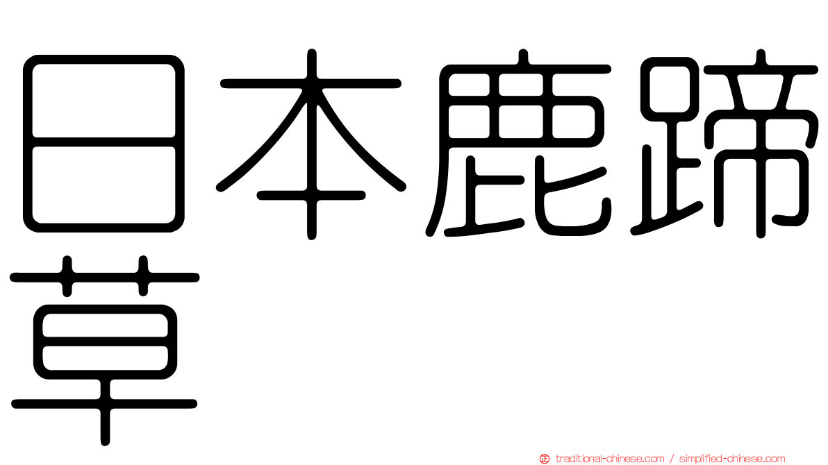 日本鹿蹄草