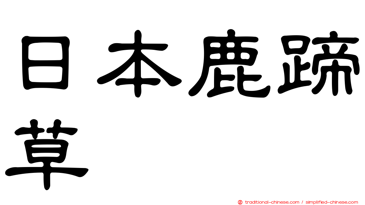 日本鹿蹄草