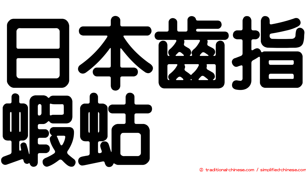 日本齒指蝦蛄