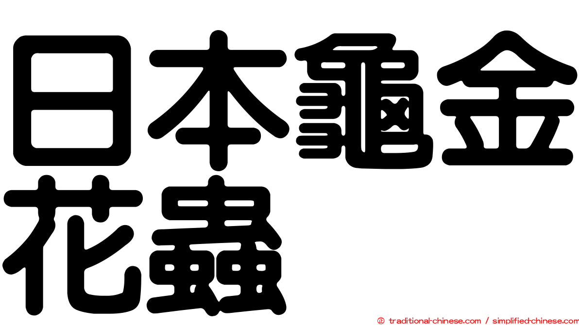 日本龜金花蟲