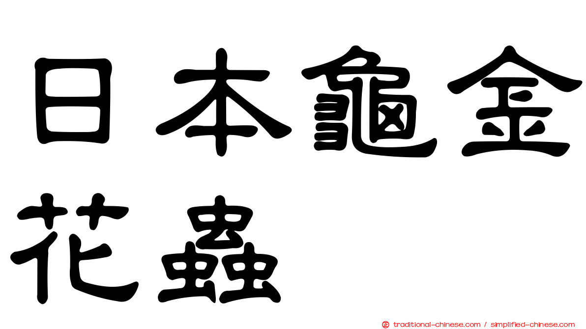 日本龜金花蟲