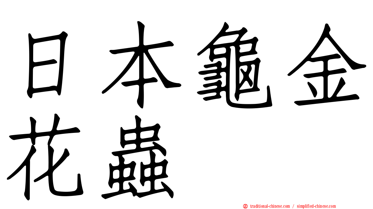日本龜金花蟲