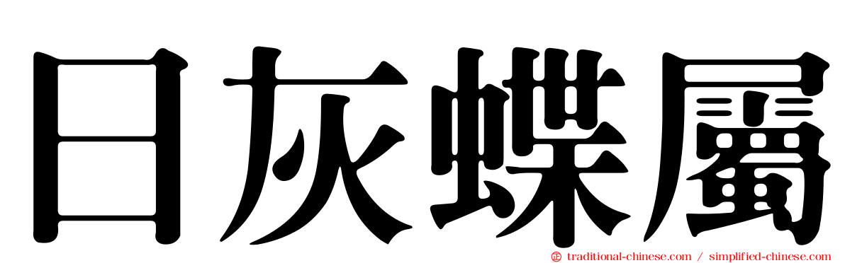 日灰蝶屬