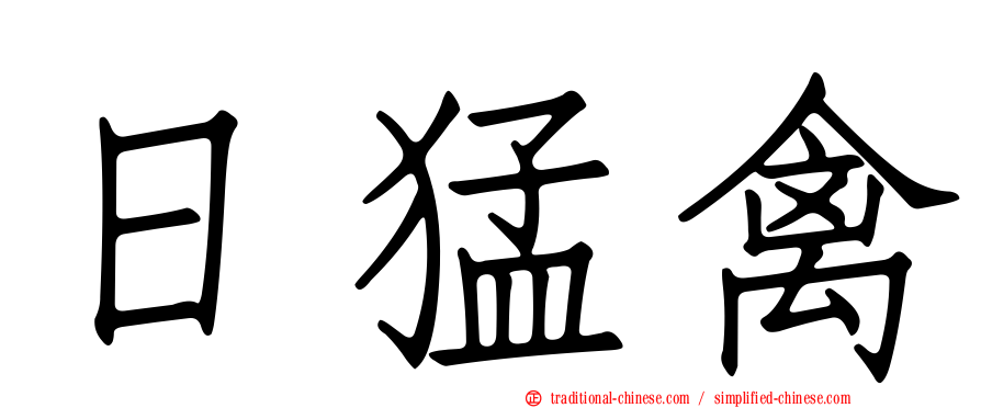 日猛禽