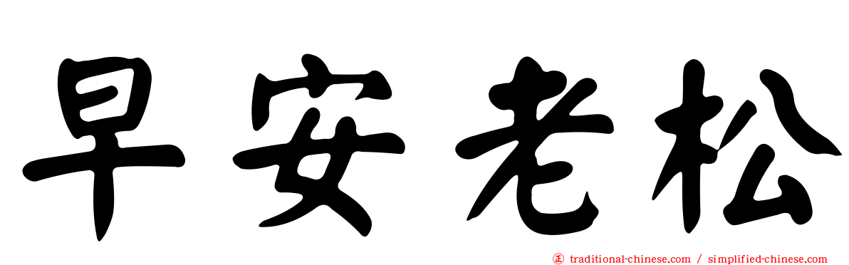 早安老松