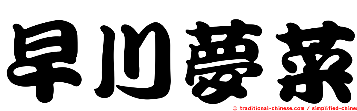 早川夢菜