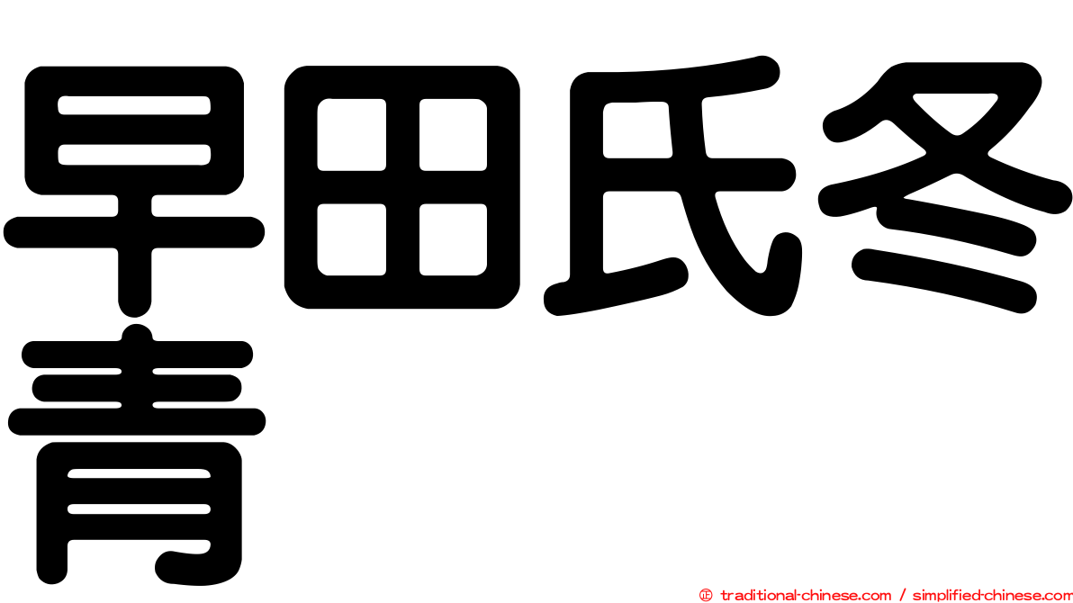 早田氏冬青