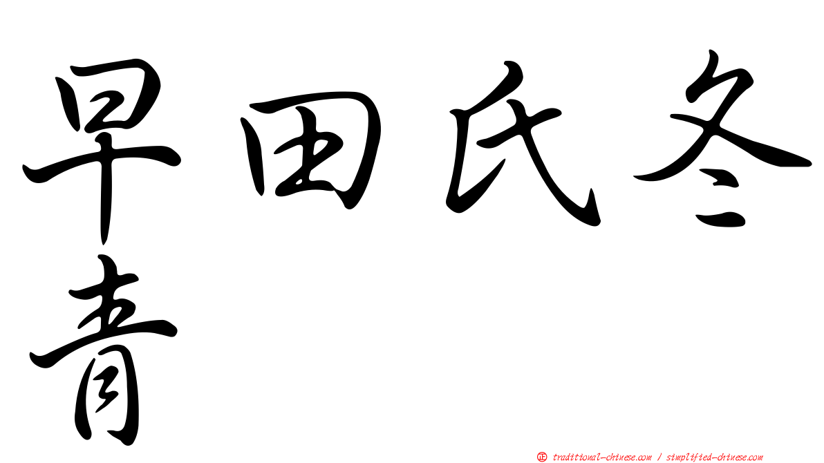 早田氏冬青