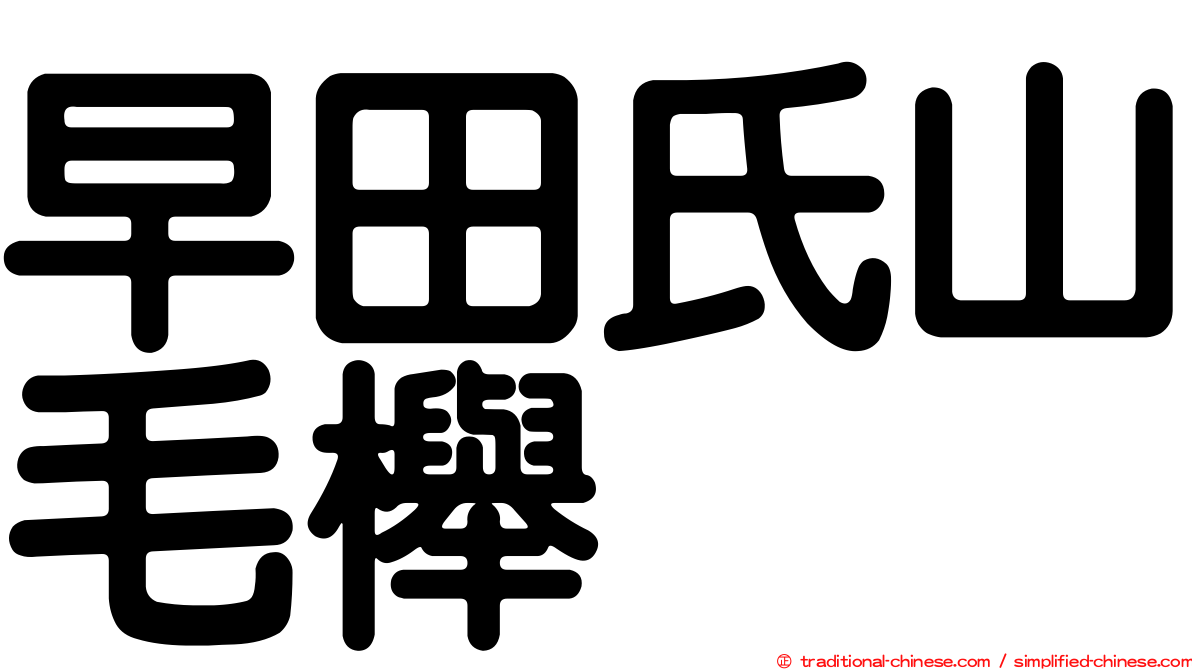 早田氏山毛櫸