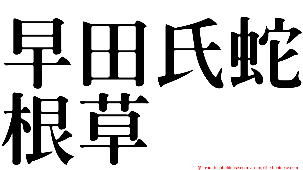 早田氏蛇根草