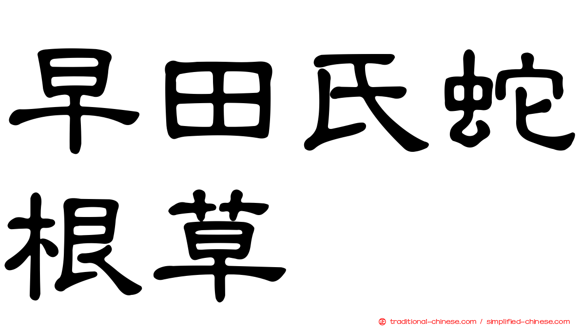 早田氏蛇根草