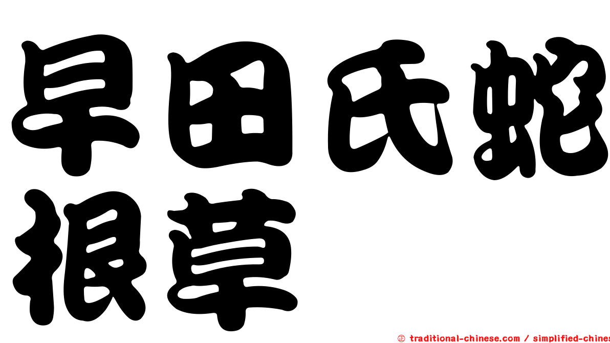 早田氏蛇根草