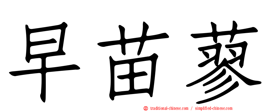 早苗蓼