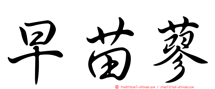 早苗蓼