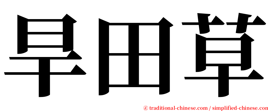 旱田草 serif font