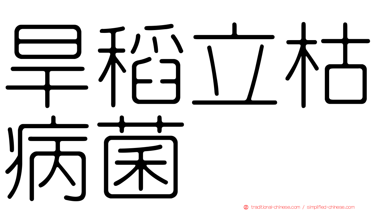旱稻立枯病菌
