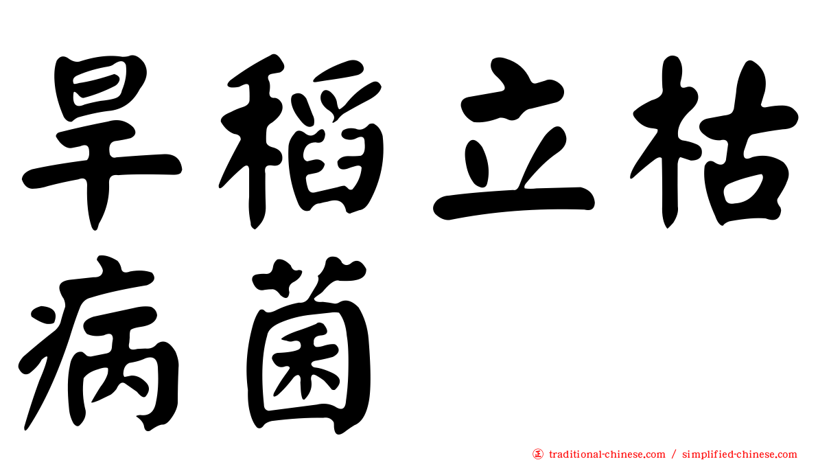 旱稻立枯病菌