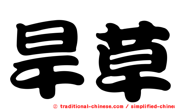 旱草