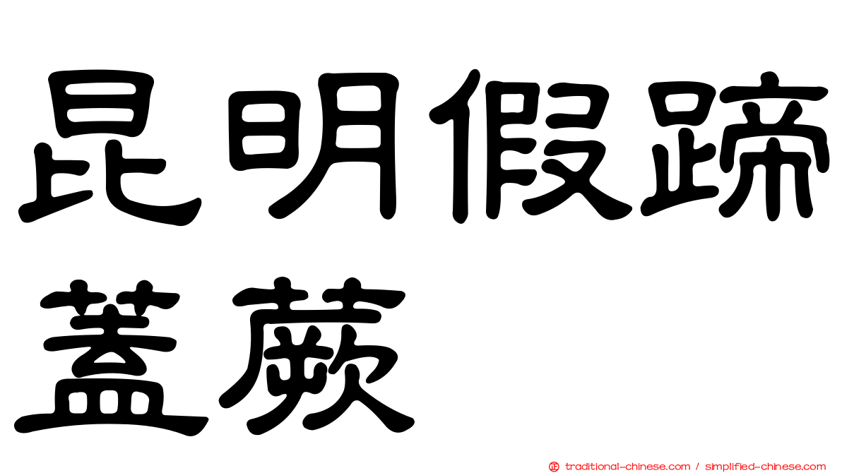 昆明假蹄蓋蕨